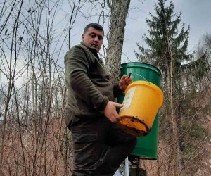 Postavljeno 9 automatskih hranilica u visočka lovišta